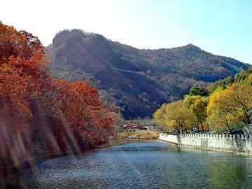 新澳天天开奖资料大全旅游团，泛目录专注